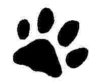 Paw