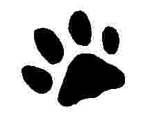 Paw